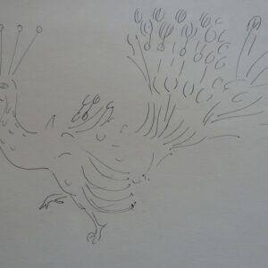Peacock